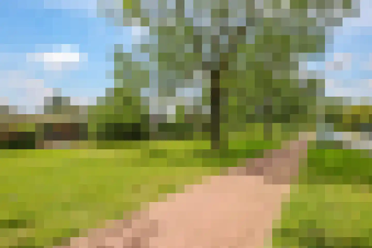 Termuntenpad 14 Arnhem thumbnail 27