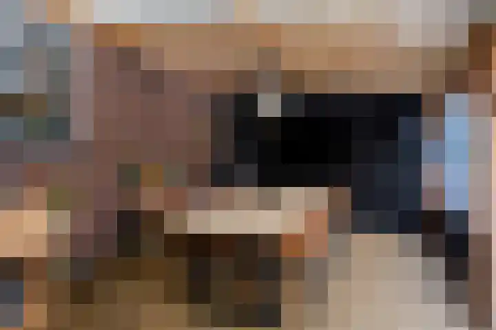 Termuntenpad 26 Arnhem thumbnail 13