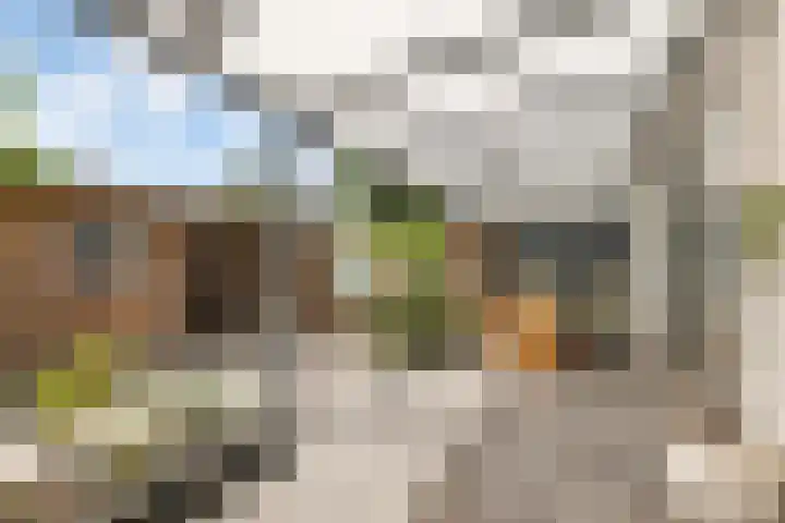 Termuntenpad 26 Arnhem thumbnail 14