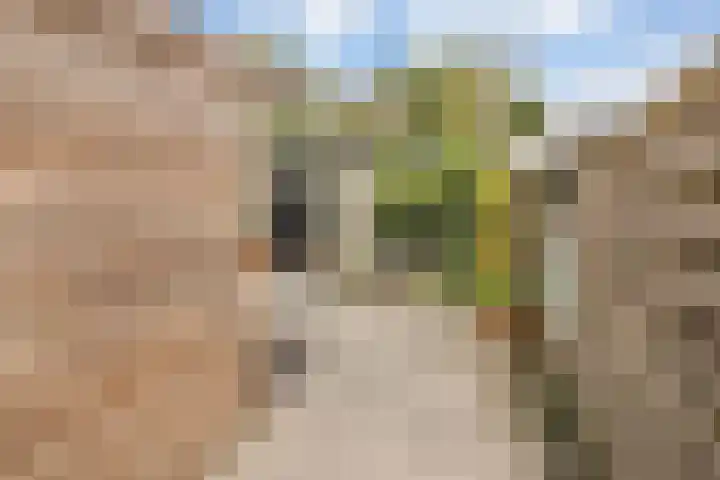 Termuntenpad 26 Arnhem thumbnail 16