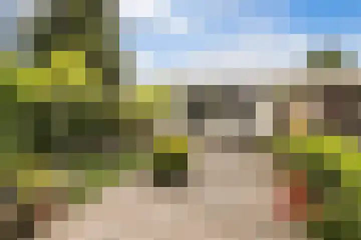 Termuntenpad 26 Arnhem thumbnail 26