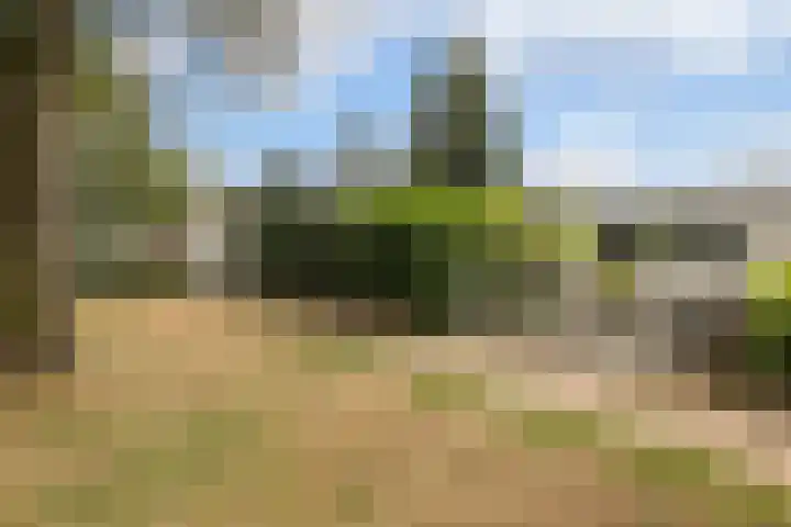 Termuntenpad 26 Arnhem thumbnail 4