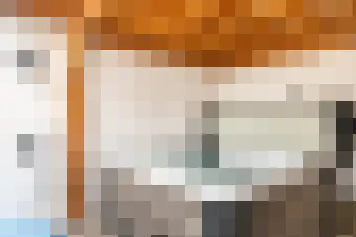 Termuntenpad 26 Arnhem thumbnail 7
