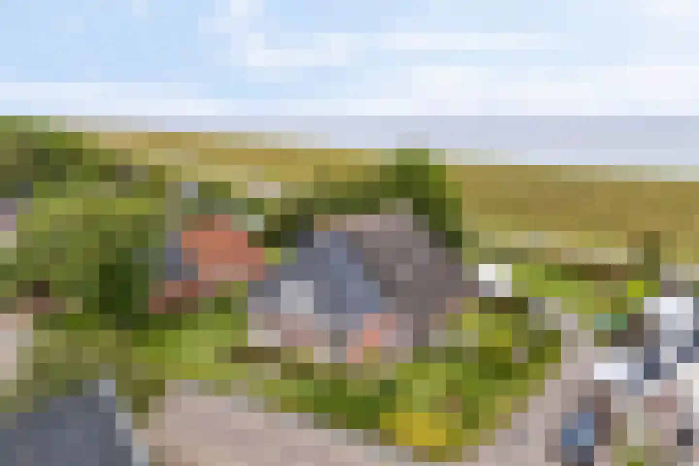 Ternaarderwei 20 Wierum