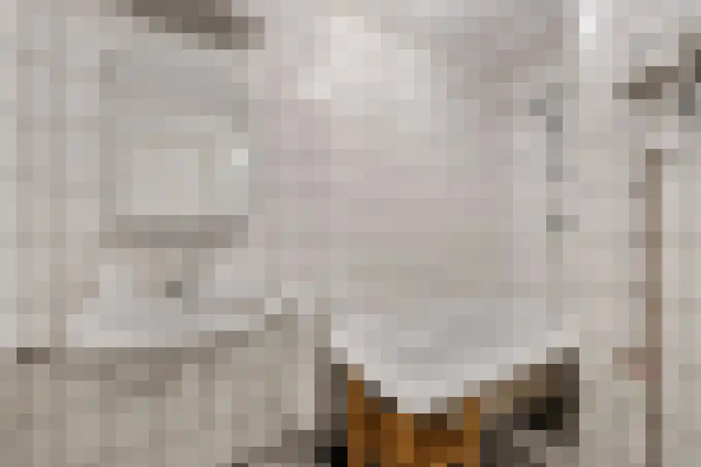 Ternaarderwei 20 Wierum thumbnail 13