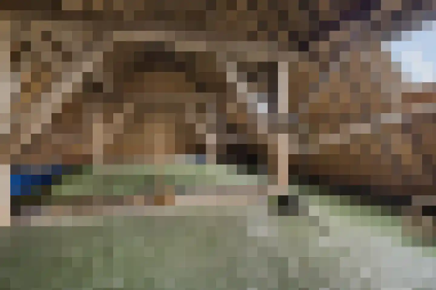 Ternaarderwei 20 Wierum thumbnail 21