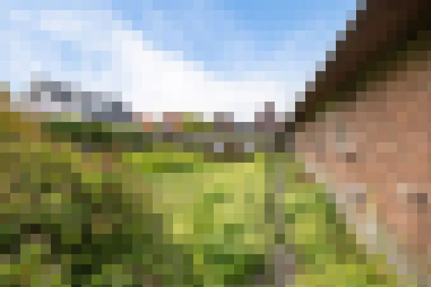 Ternaarderwei 20 Wierum thumbnail 23