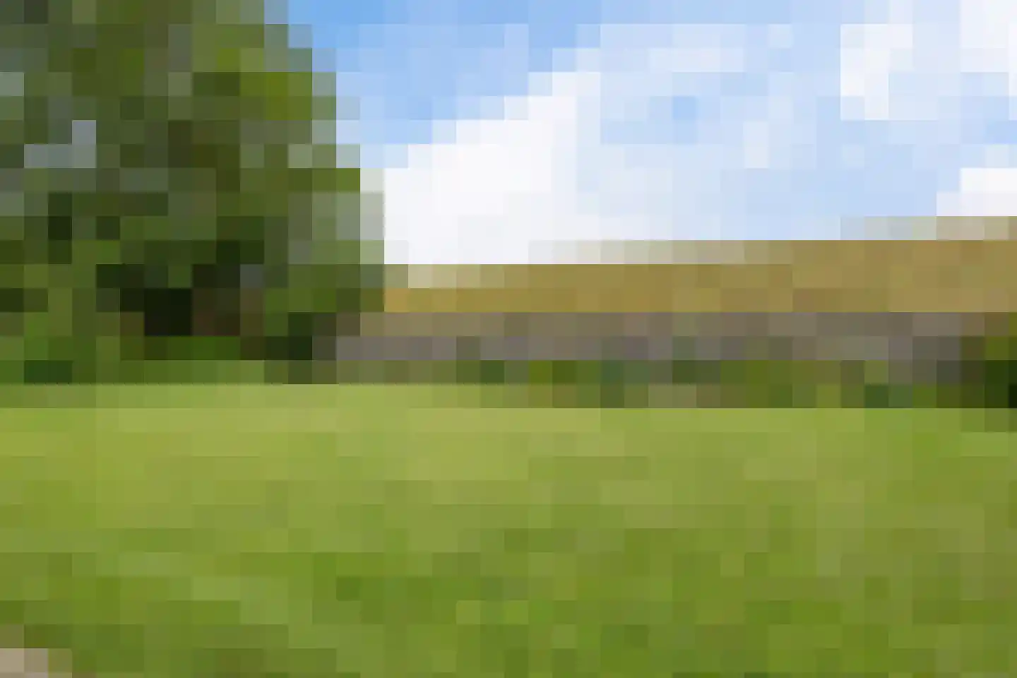 Ternaarderwei 20 Wierum thumbnail 25