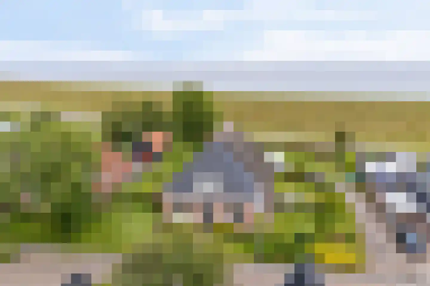 Ternaarderwei 20 Wierum thumbnail 27