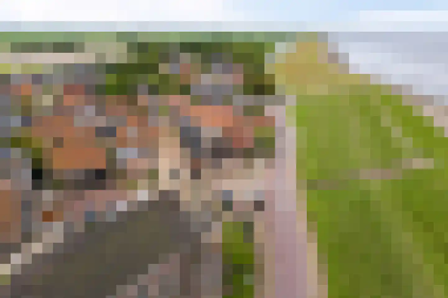 Ternaarderwei 20 Wierum thumbnail 30