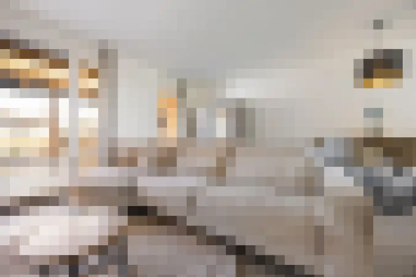 Ternate 13 Barneveld thumbnail 11
