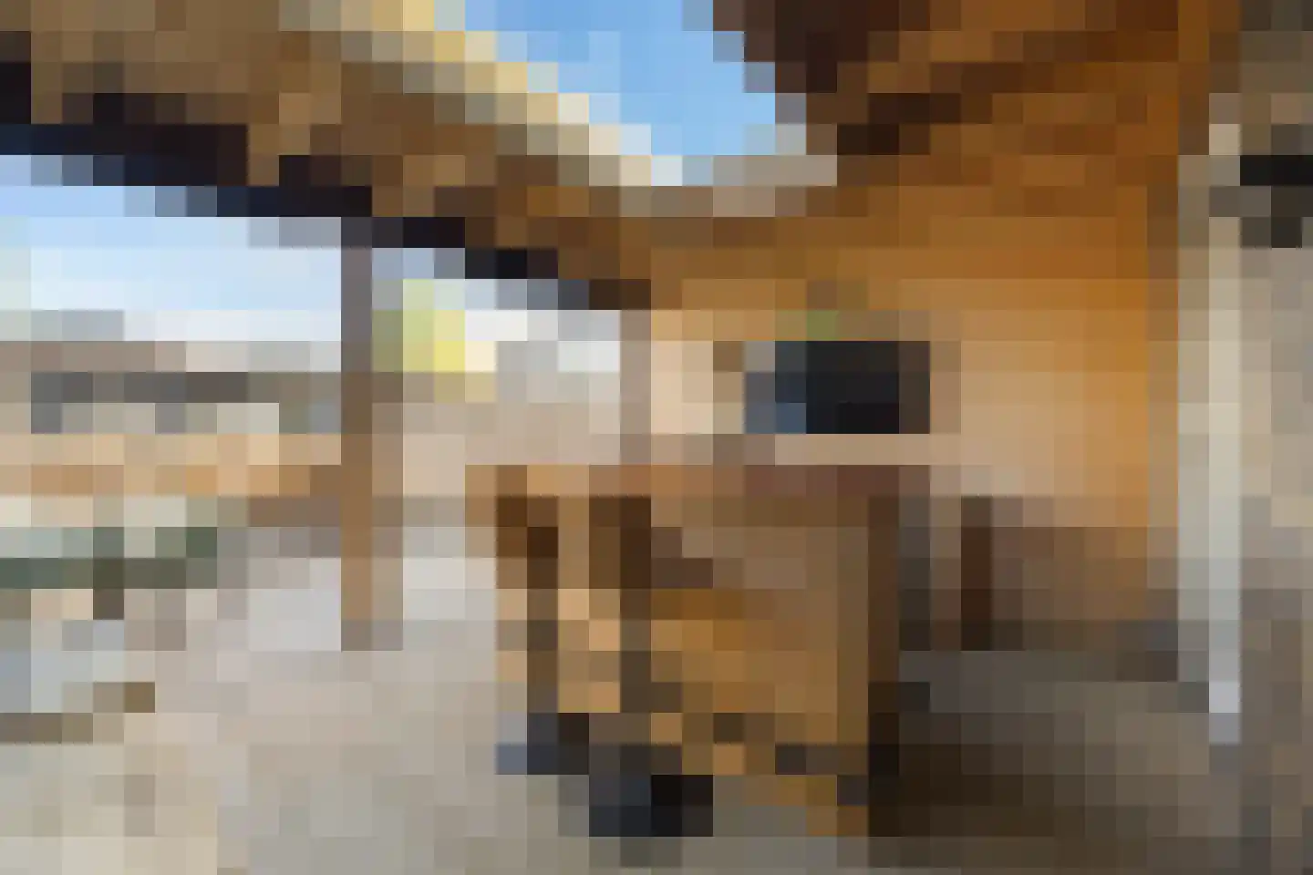 Ternate 13 Barneveld thumbnail 34