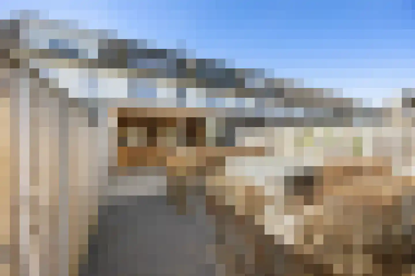 Ternate 13 Barneveld thumbnail 39