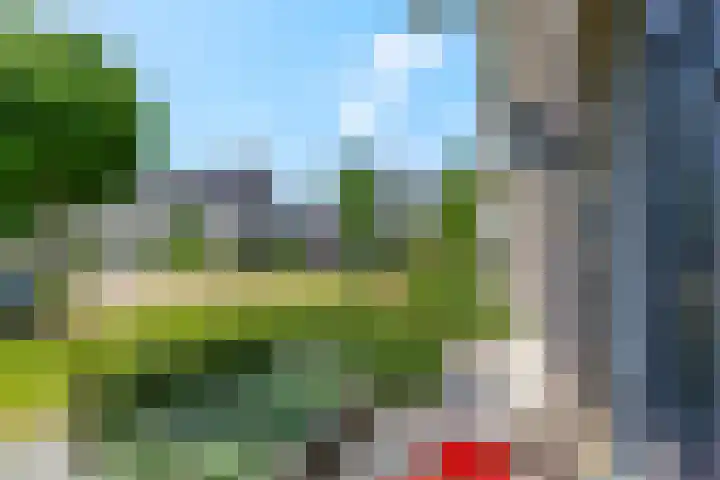 Ternate 31 Barneveld thumbnail 10