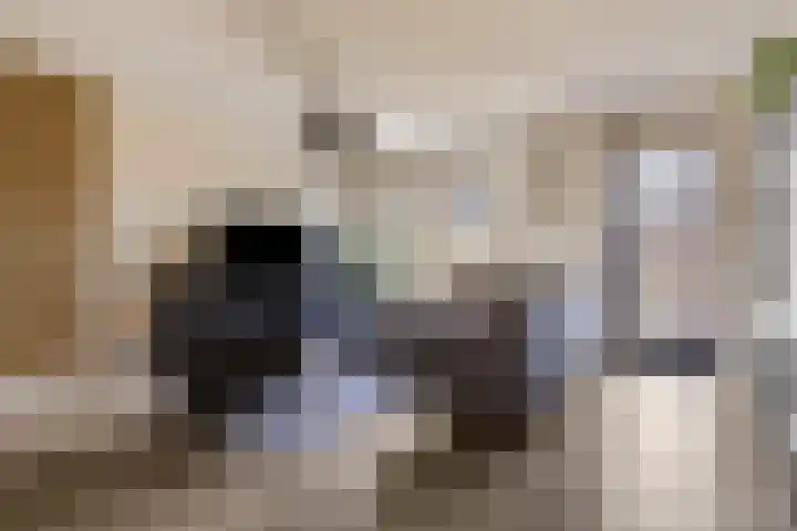 Ternate 31 Barneveld thumbnail 13