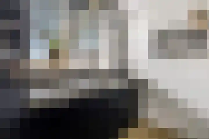 Ternate 31 Barneveld thumbnail 21