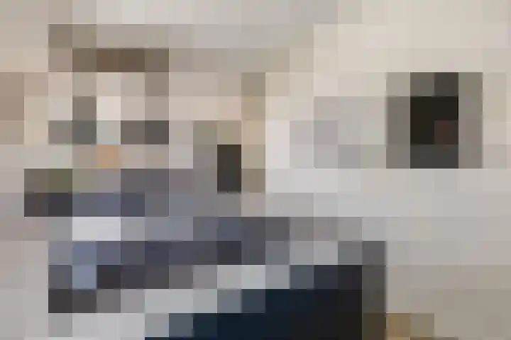 Ternate 31 Barneveld thumbnail 22