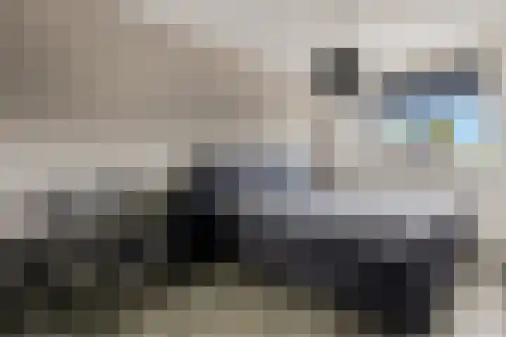 Ternate 31 Barneveld thumbnail 28