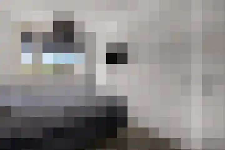 Ternate 31 Barneveld thumbnail 30