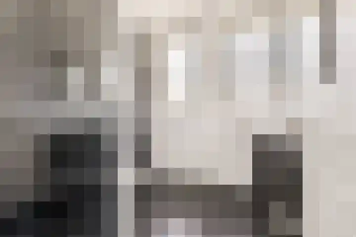 Ternate 31 Barneveld thumbnail 36