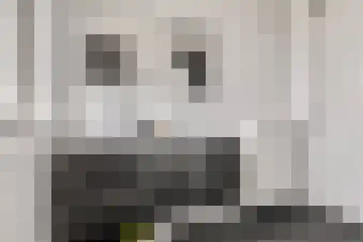 Ternate 31 Barneveld thumbnail 37