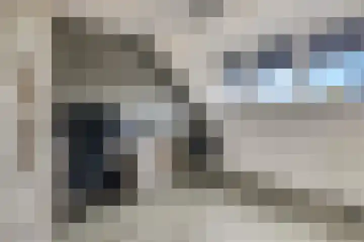 Ternate 31 Barneveld thumbnail 43