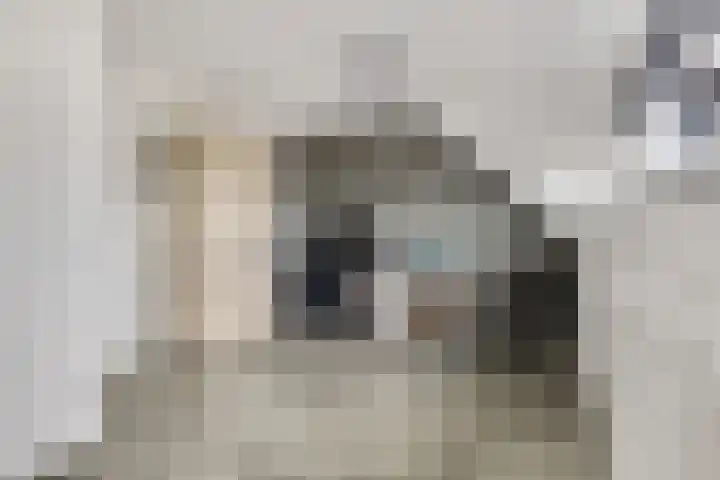 Ternate 31 Barneveld thumbnail 45