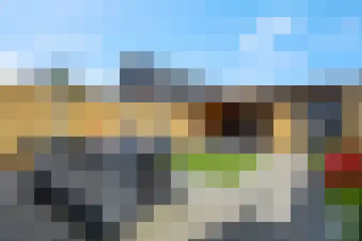 Ternate 31 Barneveld thumbnail 46