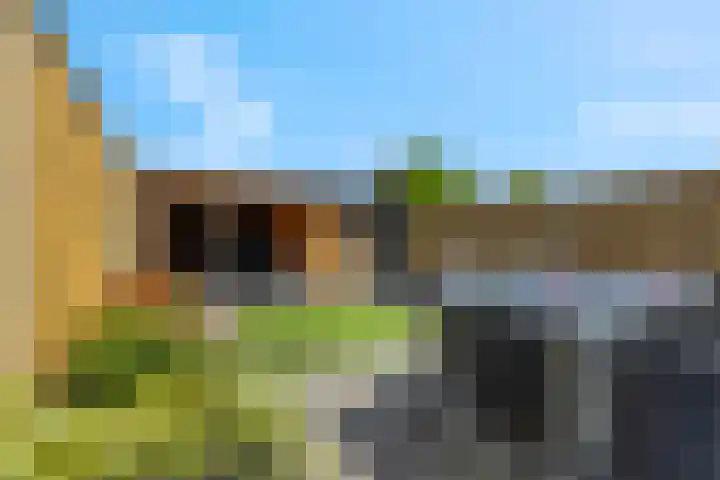 Ternate 31 Barneveld thumbnail 47