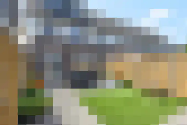 Ternate 31 Barneveld thumbnail 48