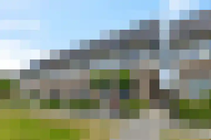 Ternate 31 Barneveld thumbnail 7