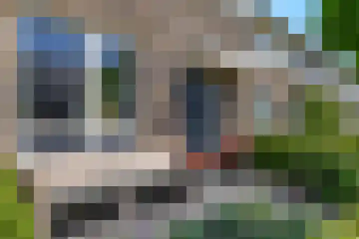 Ternate 31 Barneveld thumbnail 8