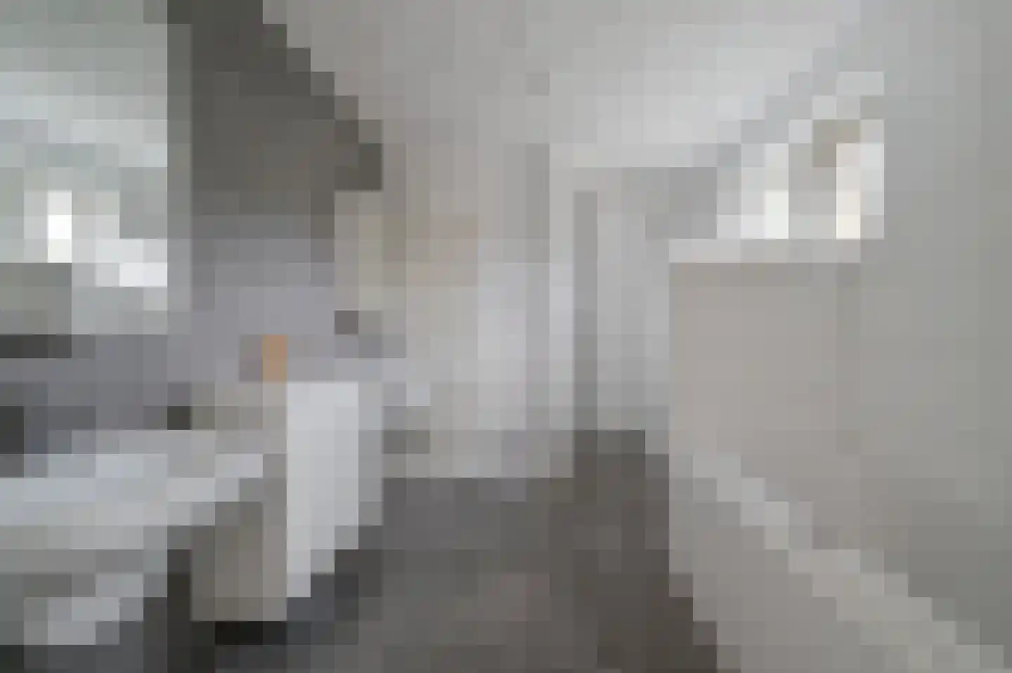 Ternate 53 Barneveld thumbnail 20