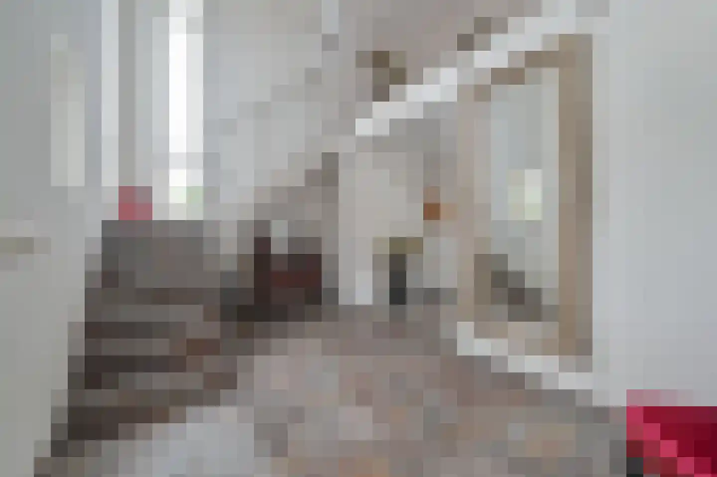 Ternate 53 Barneveld thumbnail 21