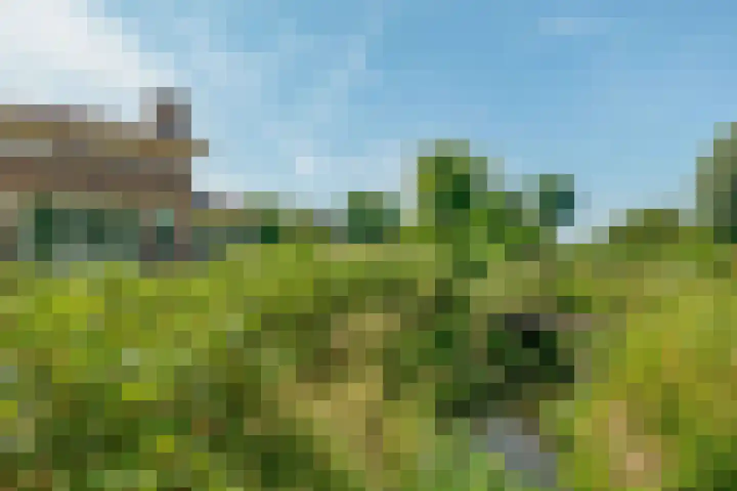 Ternate 53 Barneveld thumbnail 39