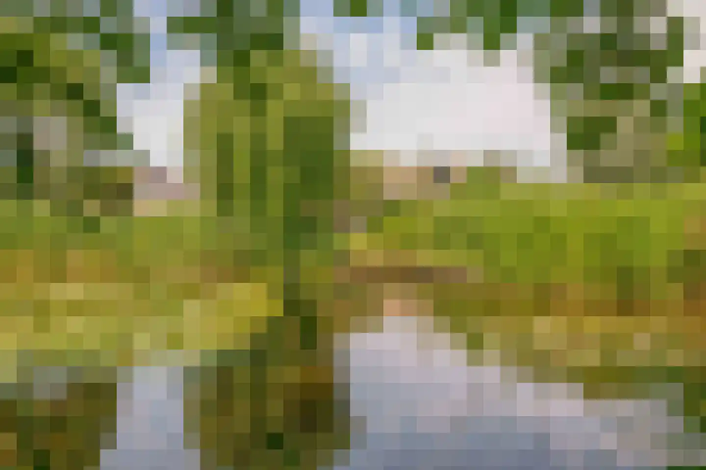 Ternate 53 Barneveld thumbnail 41