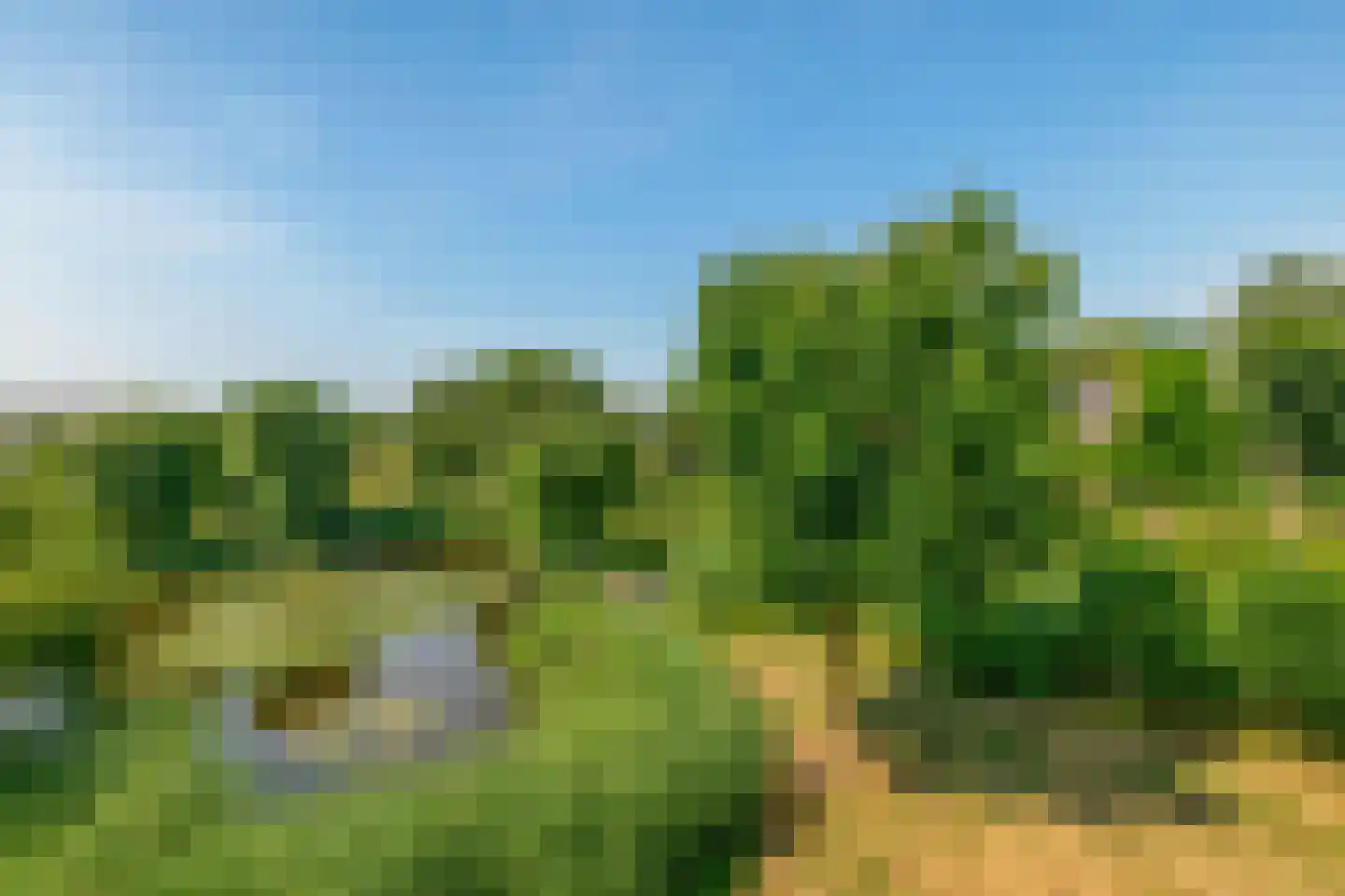 Ternate 53 Barneveld thumbnail 42