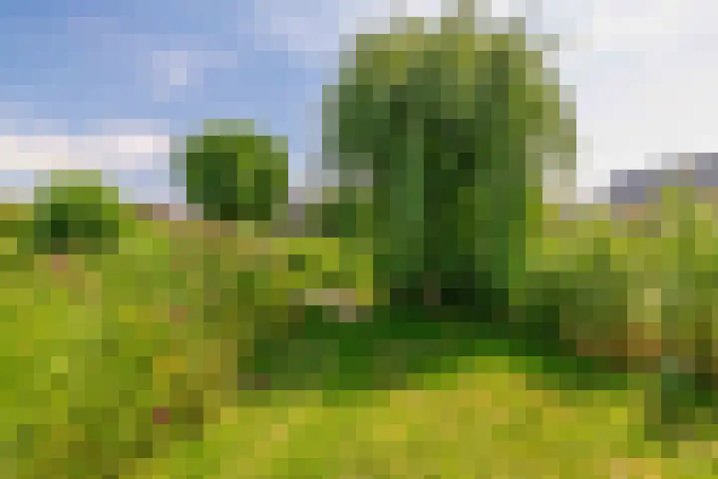 Ternate 53 Barneveld thumbnail 43
