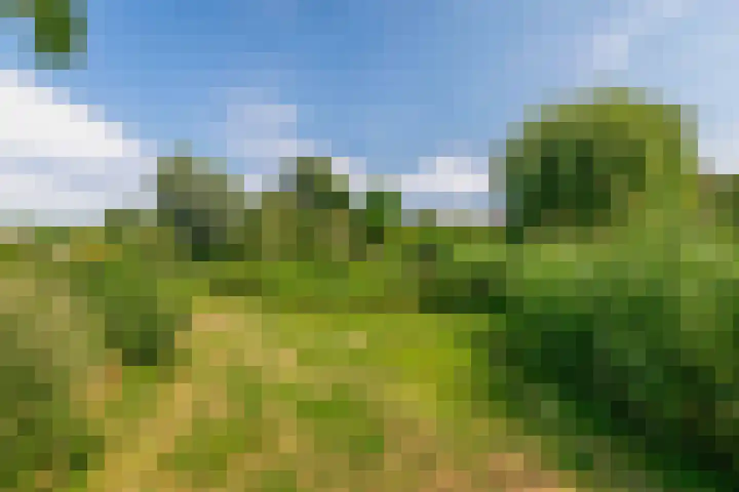 Ternate 53 Barneveld thumbnail 44