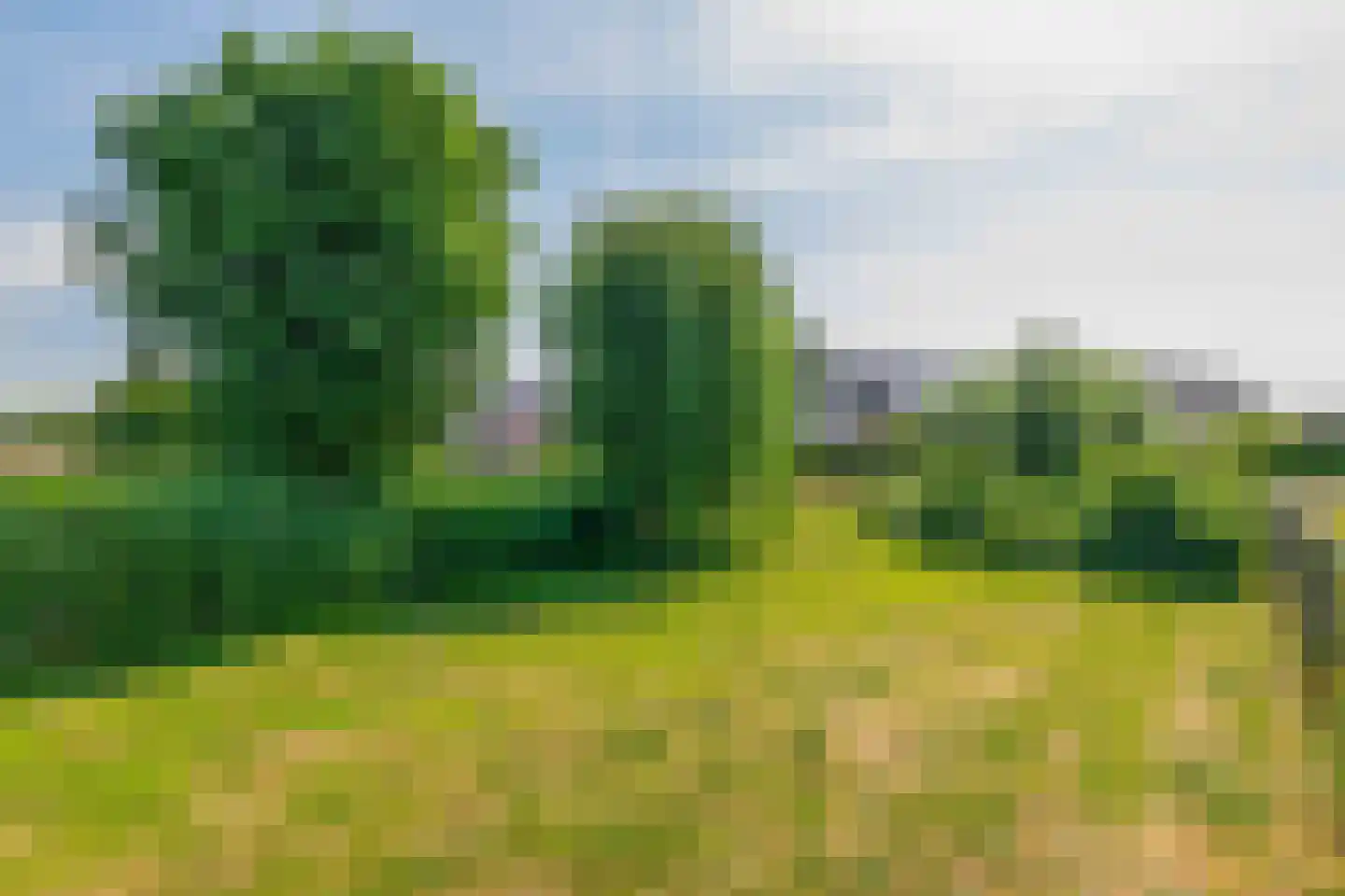 Ternate 53 Barneveld thumbnail 45