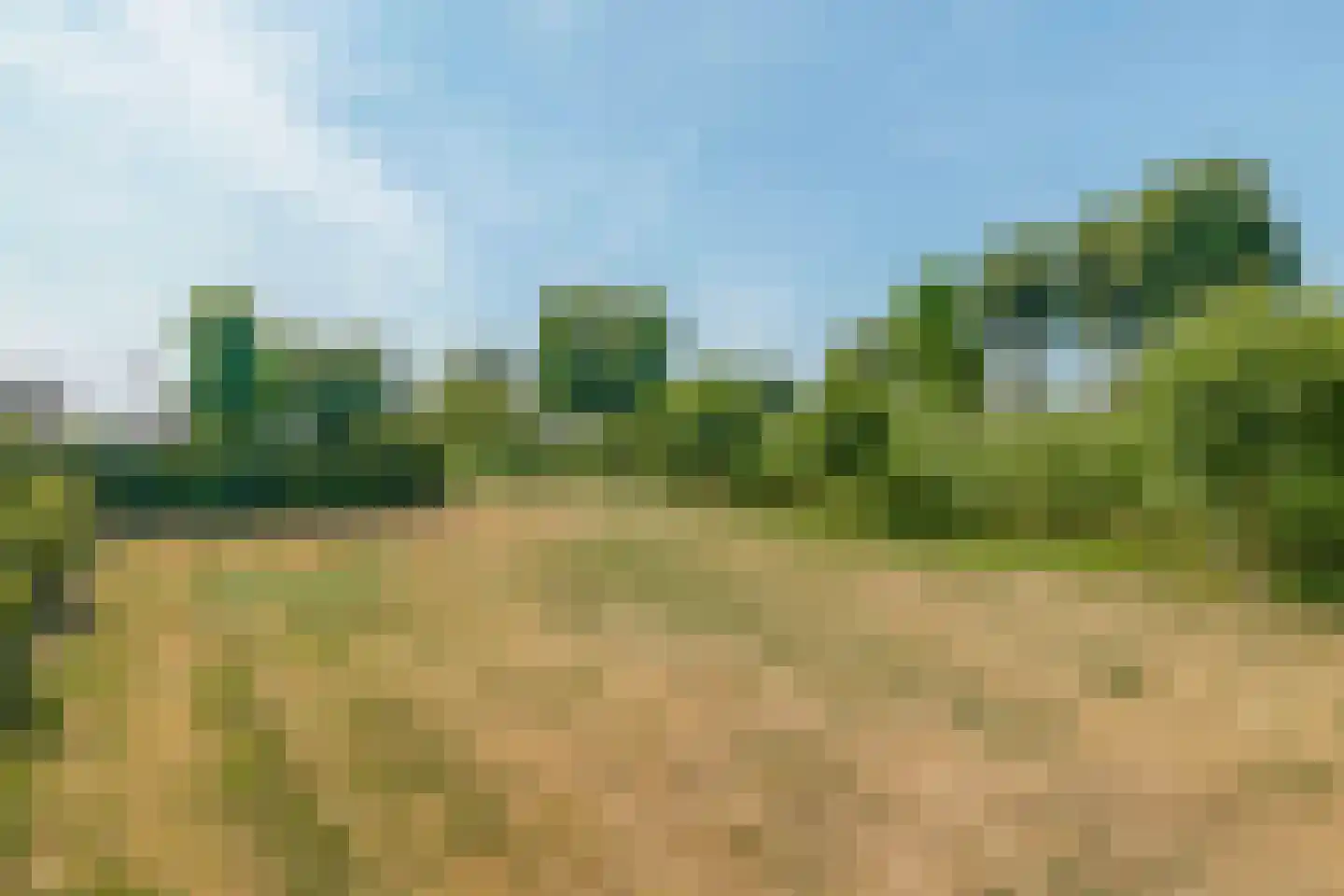 Ternate 53 Barneveld thumbnail 47