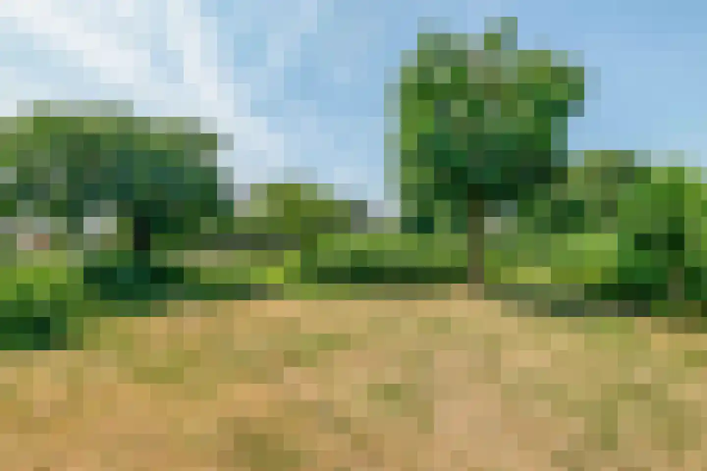 Ternate 53 Barneveld thumbnail 48