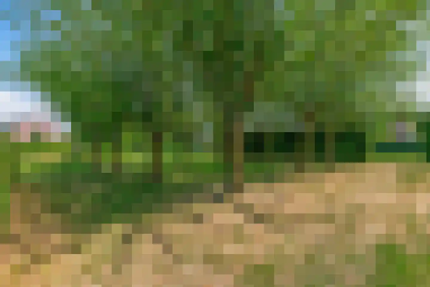 Ternate 53 Barneveld thumbnail 49