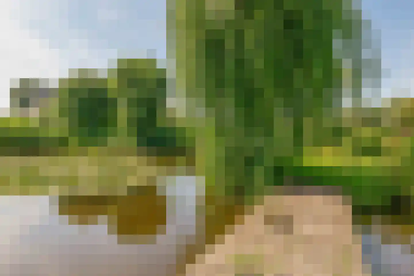 Ternate 53 Barneveld thumbnail 6