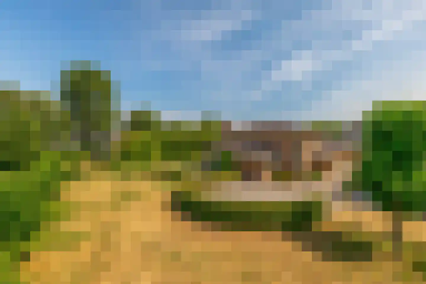 Ternate 53 Barneveld thumbnail 62