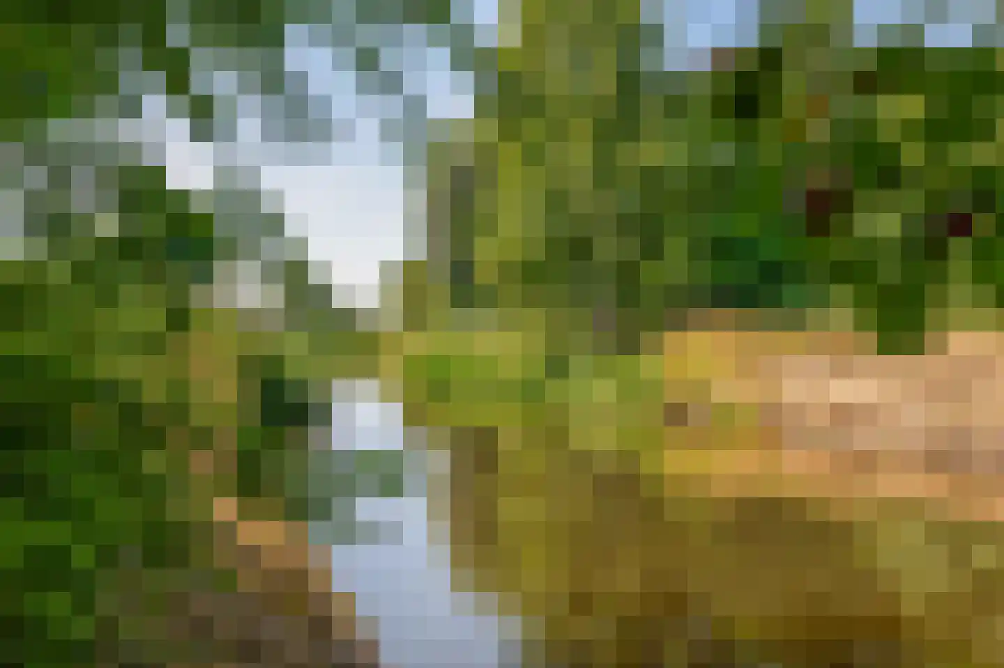 Ternate 53 Barneveld thumbnail 64