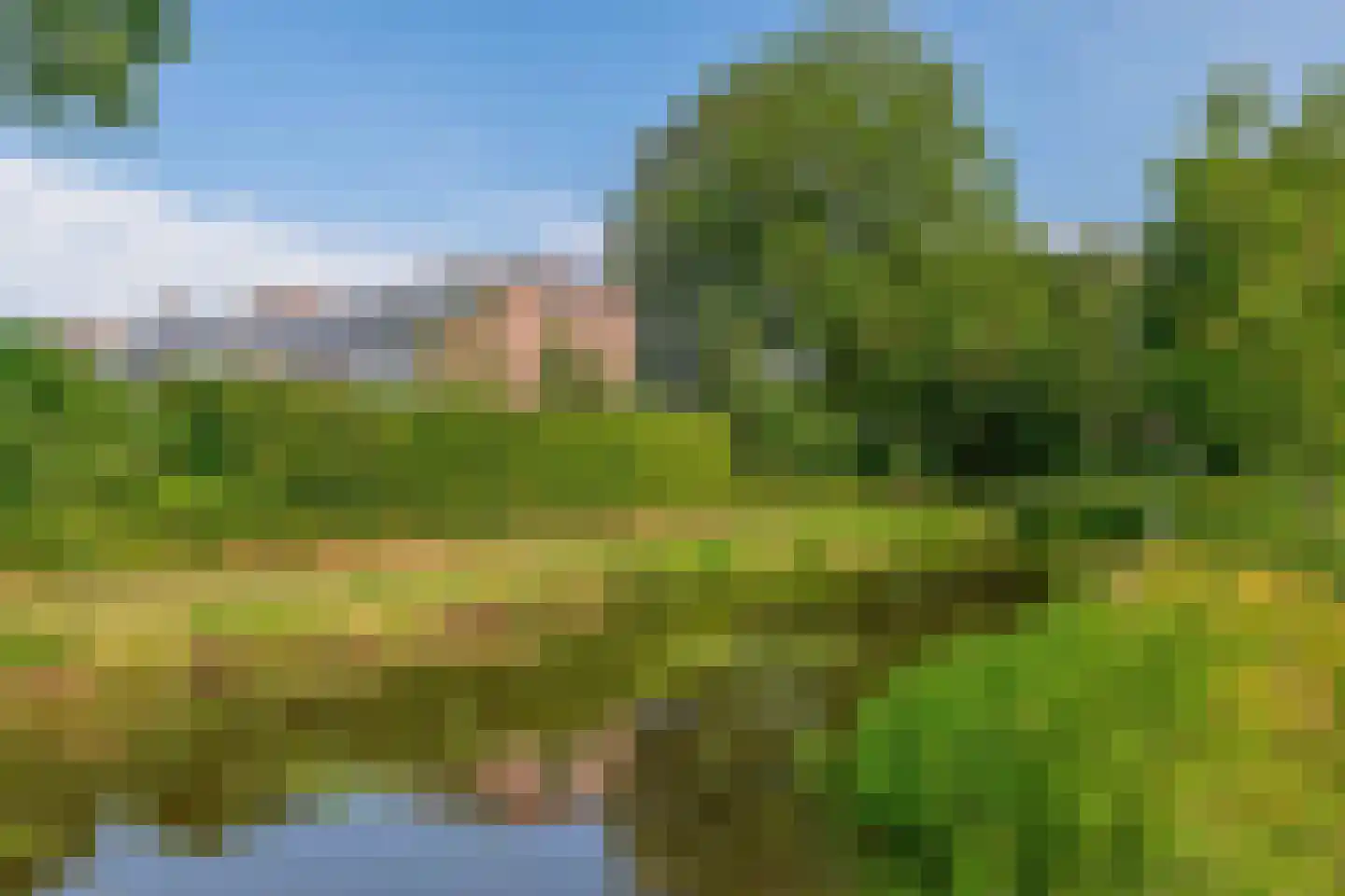 Ternate 53 Barneveld thumbnail 65