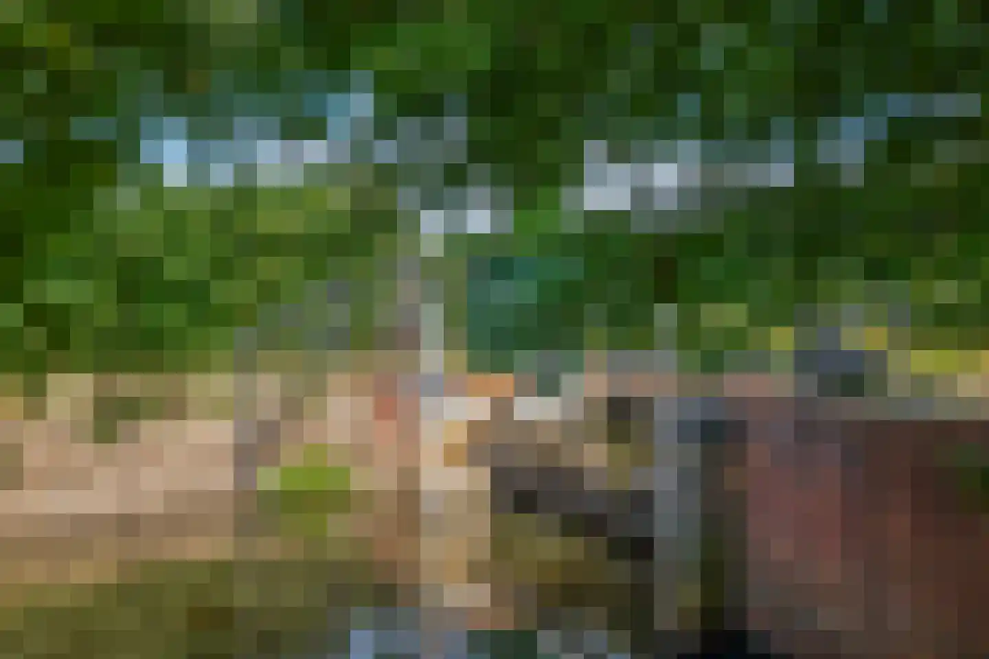 Ternate 53 Barneveld thumbnail 66