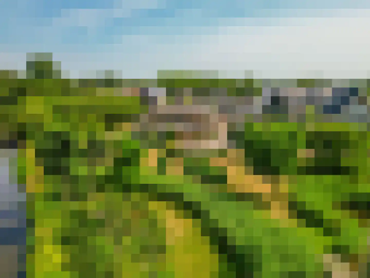 Ternate 53 Barneveld thumbnail 67