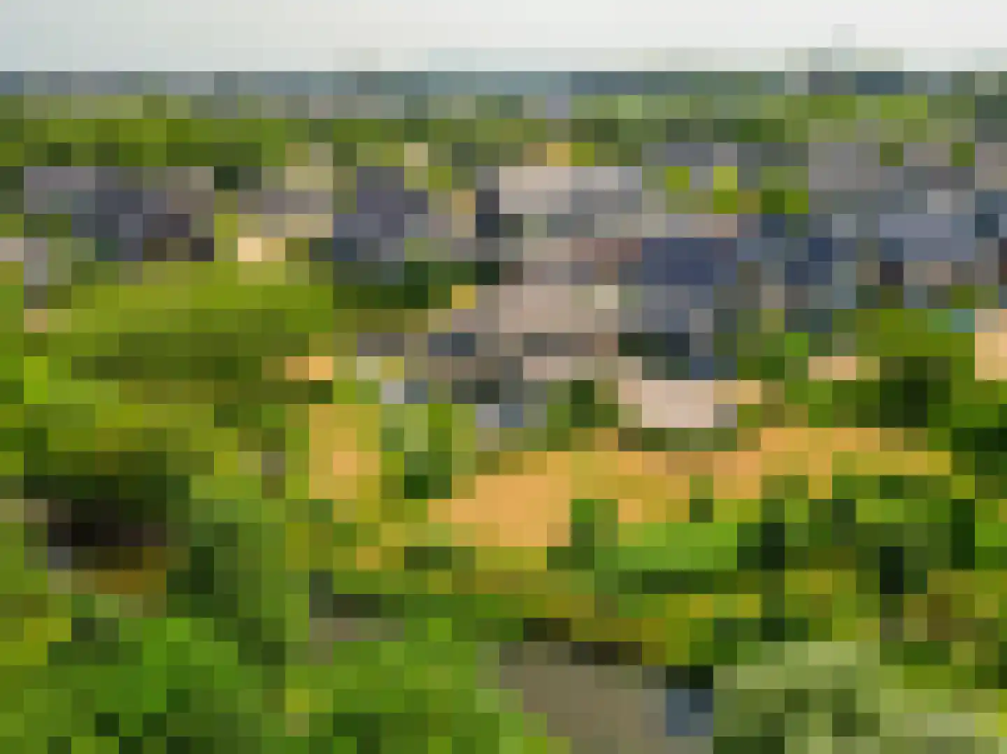 Ternate 53 Barneveld thumbnail 68